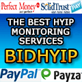 bidhyip.com