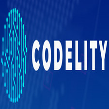 codelity.cc